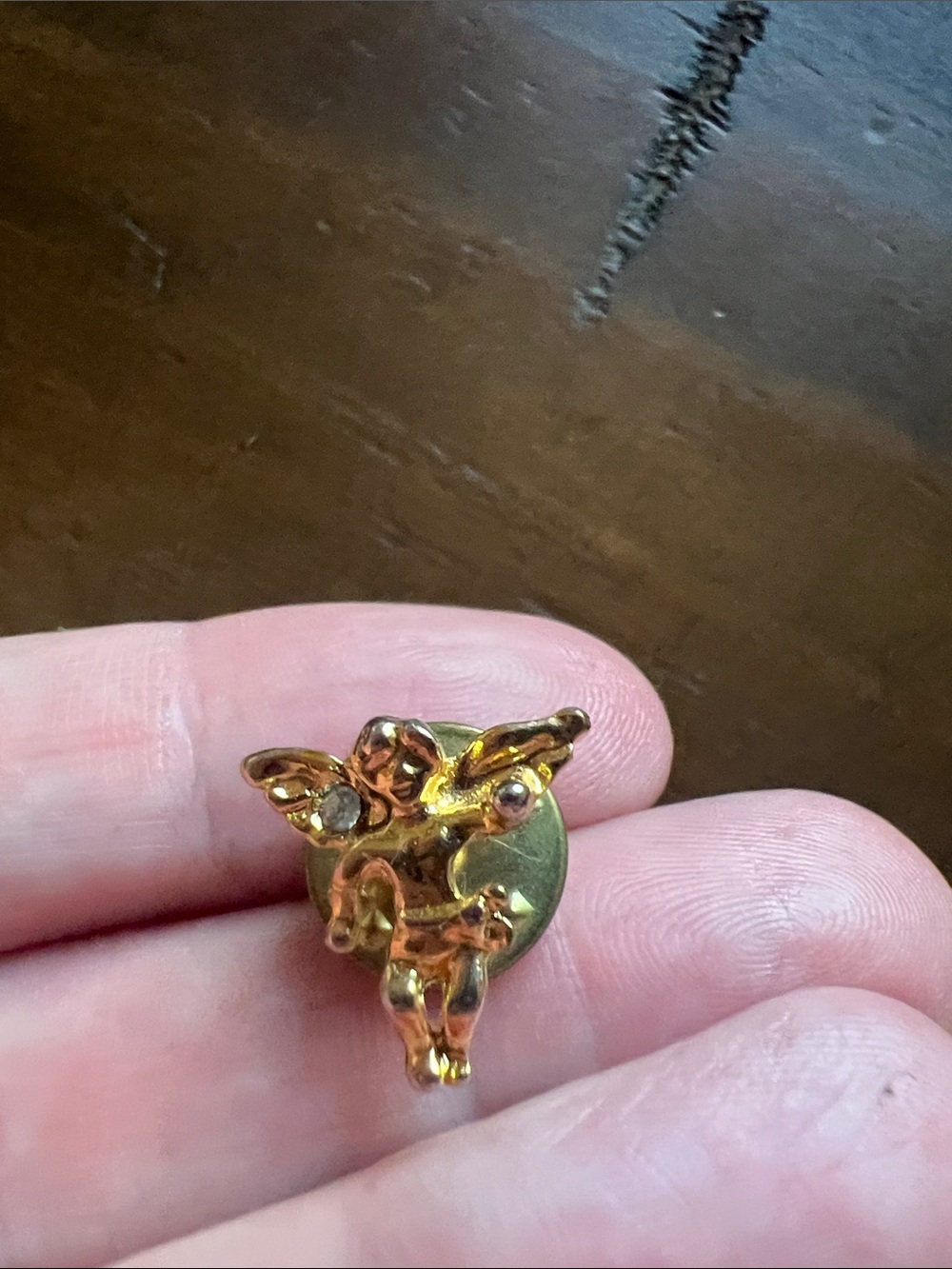 Gold Angel Pin Accessory